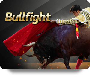Bullfight